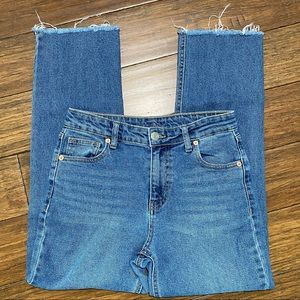 Women's Size 2 Wild Fable High Rise Straight Ankle Jeans
